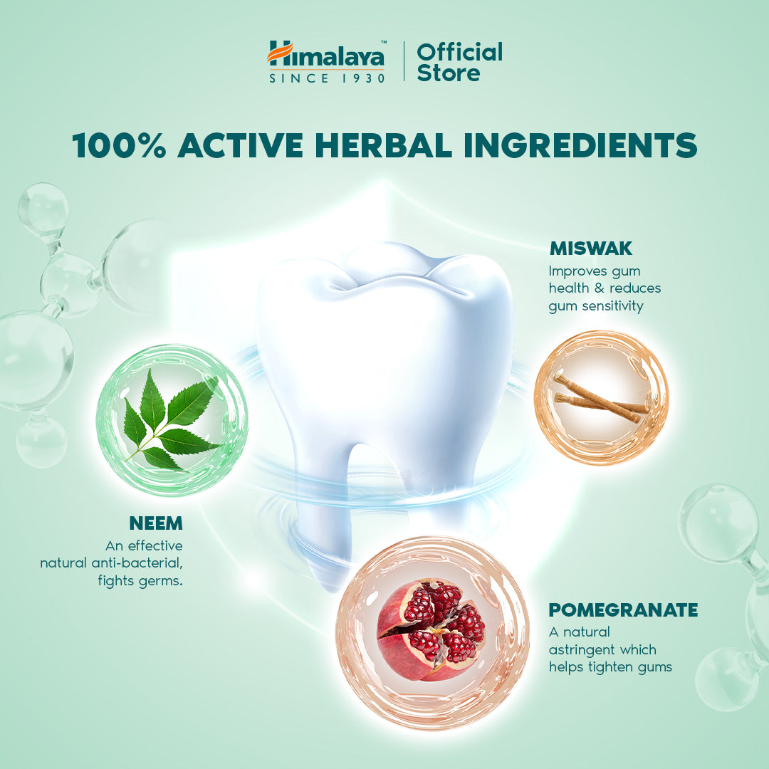 Himalaya Complete Care Herbal Toothpaste