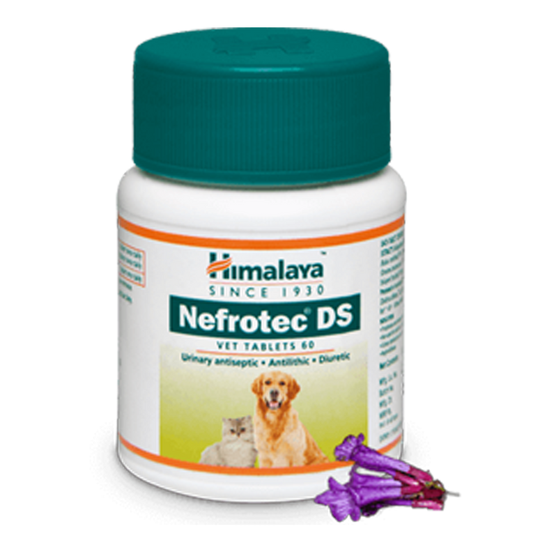 Himalaya Nefrotec DS Vet Tab FC - Urinary Antiseptic 